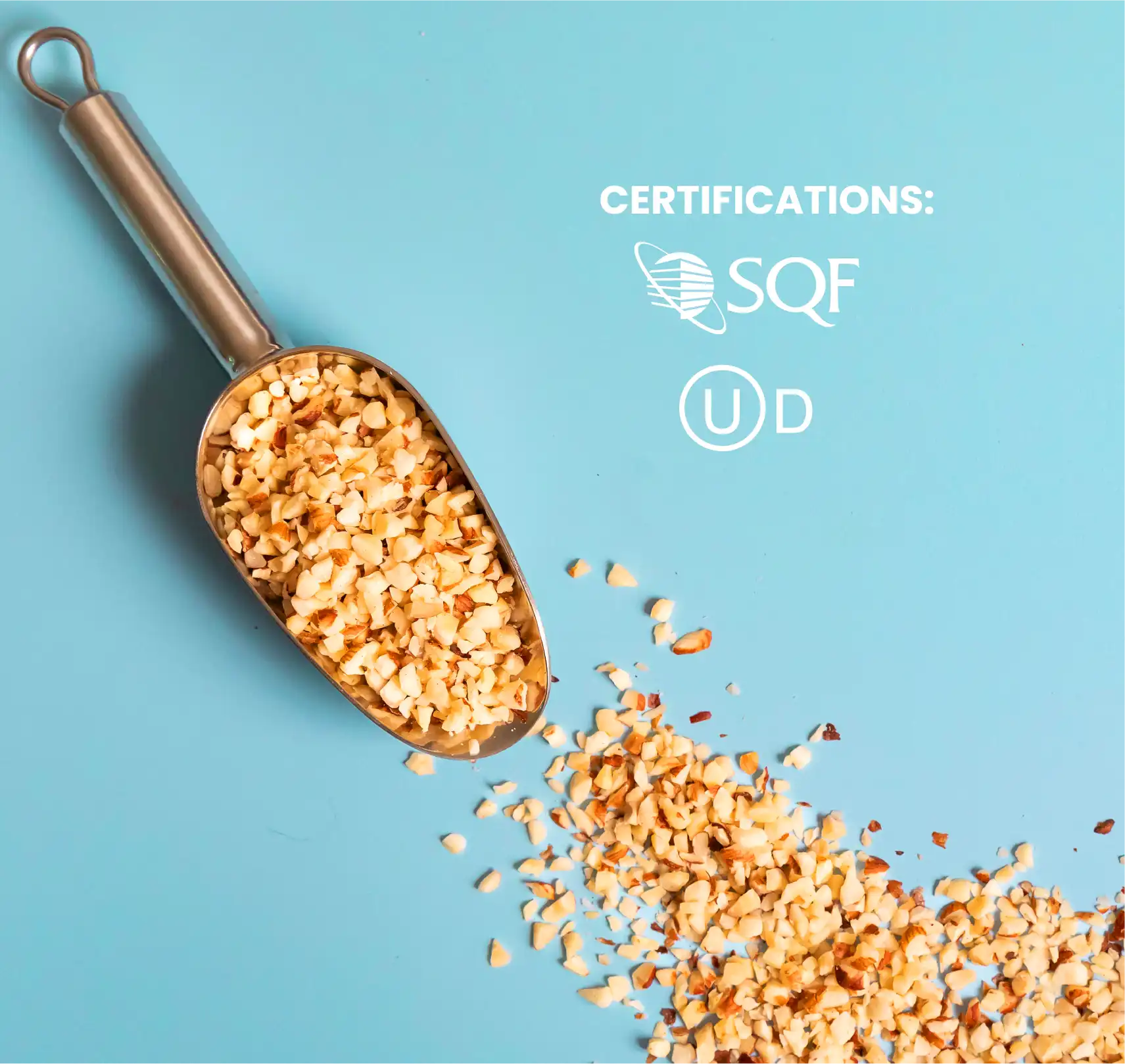 scoop of crushed hazelnuts