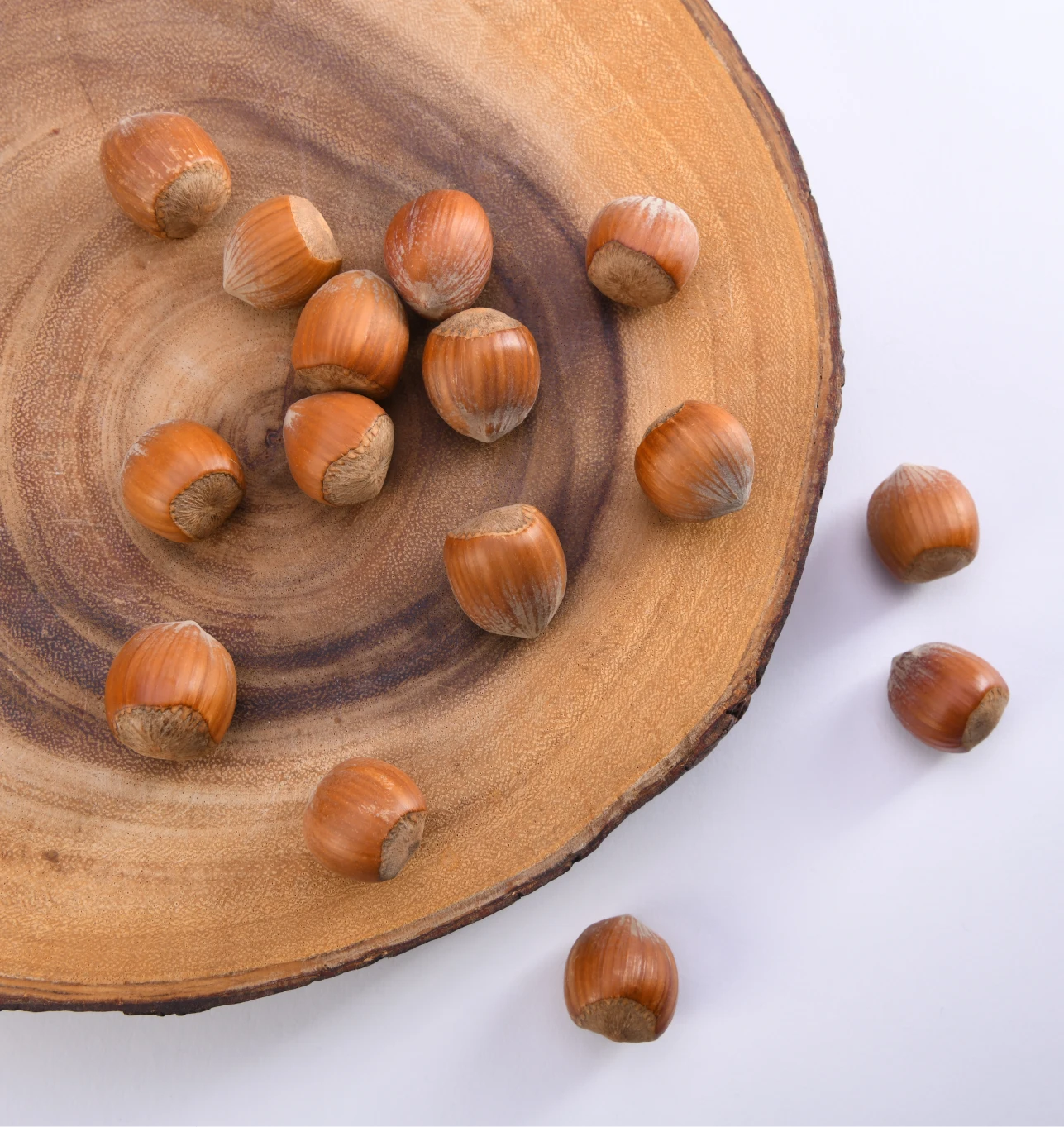 hazelnuts on a cross section of log