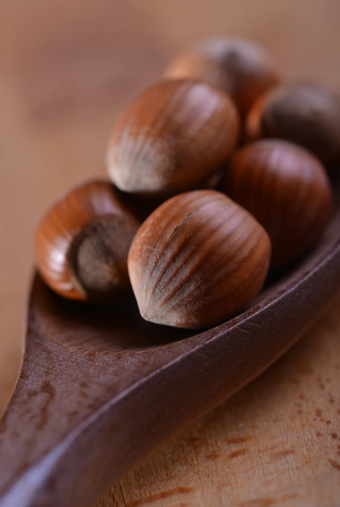 spoon full of unshelled hazelnuts
